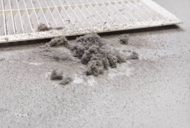 Best HVAC System Cleaning  in Remlap, AL