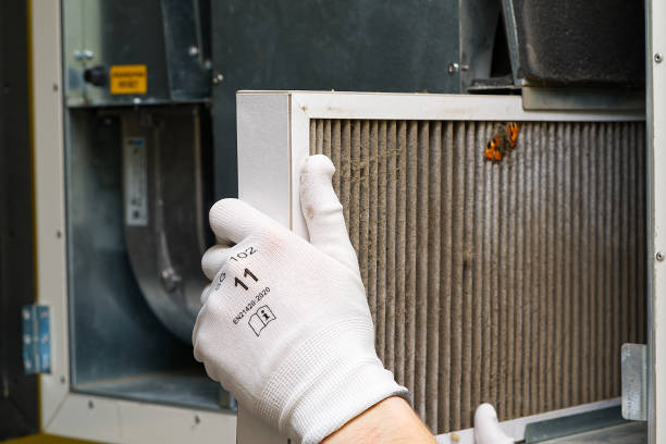 Best Emergency Air Duct Cleaning  in Remlap, AL