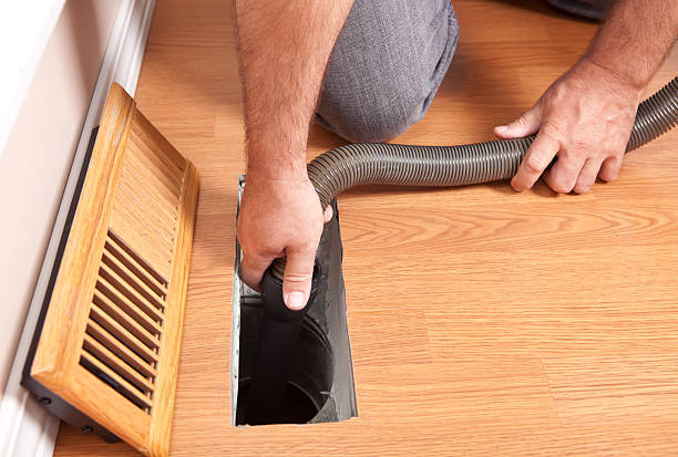 Best Air Duct Sanitizing Services  in Remlap, AL