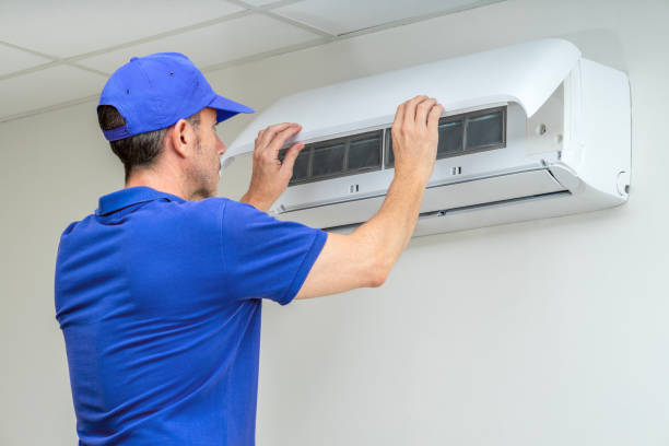 Best Professional Duct Cleaning Services  in Remlap, AL