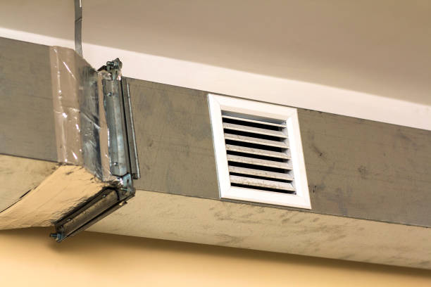 Best Local Air Duct Cleaning Services  in Remlap, AL